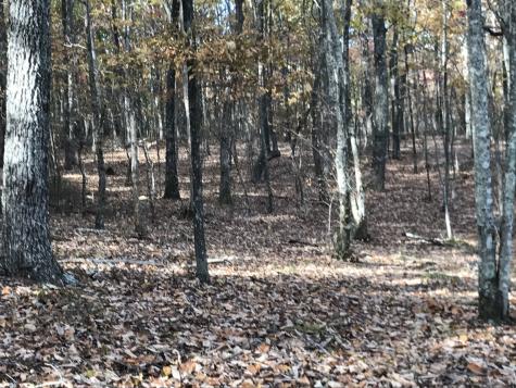 0 Timberwood Trace Monteagle TN 37356
