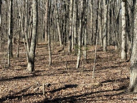 0 Timberwood Trace Monteagle TN 37356
