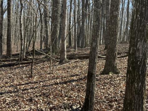 0 Timberwood Trace Monteagle TN 37356