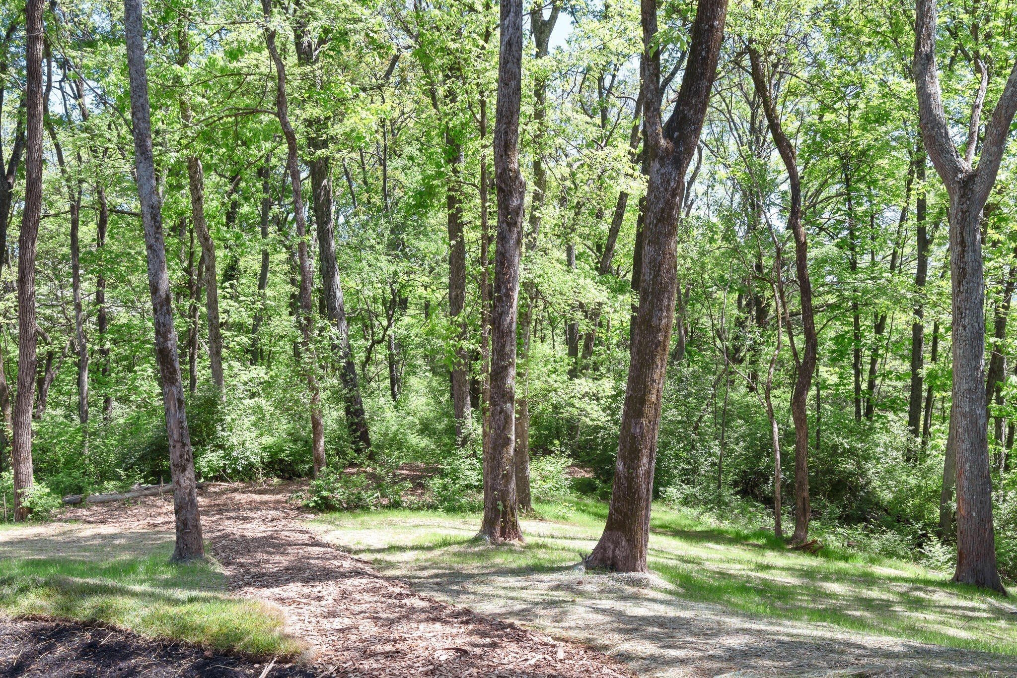 663 Hunters Trail Nashville TN 37209