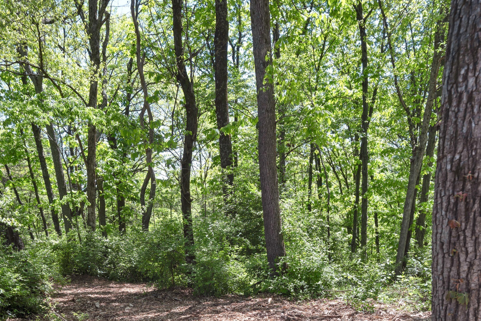 663 Hunters Trail Nashville TN 37209