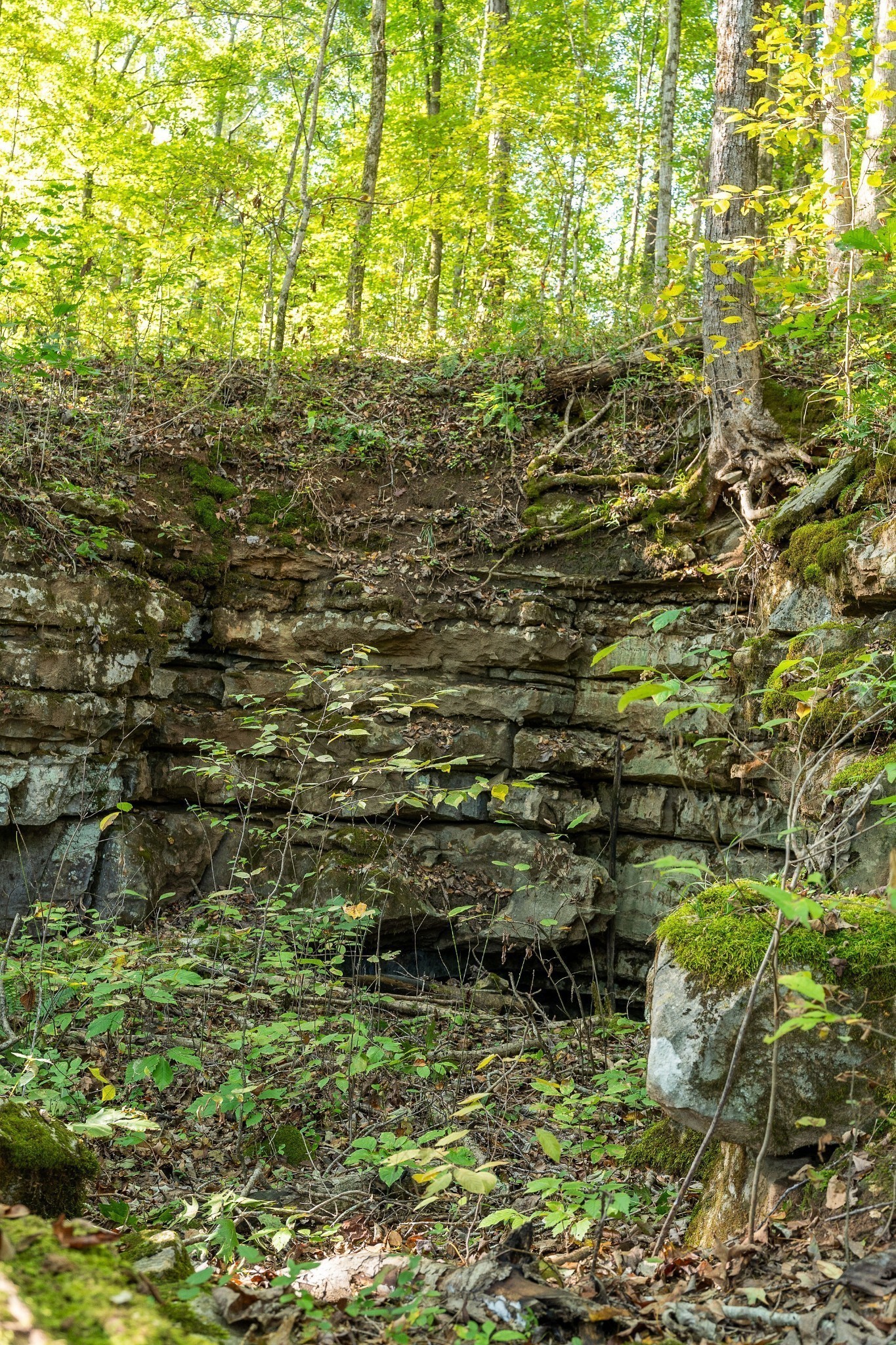 0 Goodbar Road Rock Island TN 38581