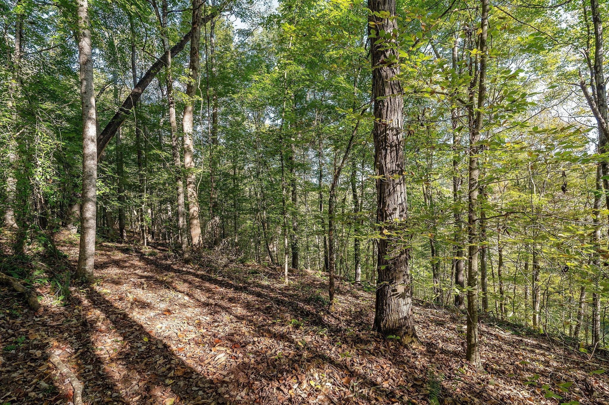 0 Goodbar Road Rock Island TN 38581