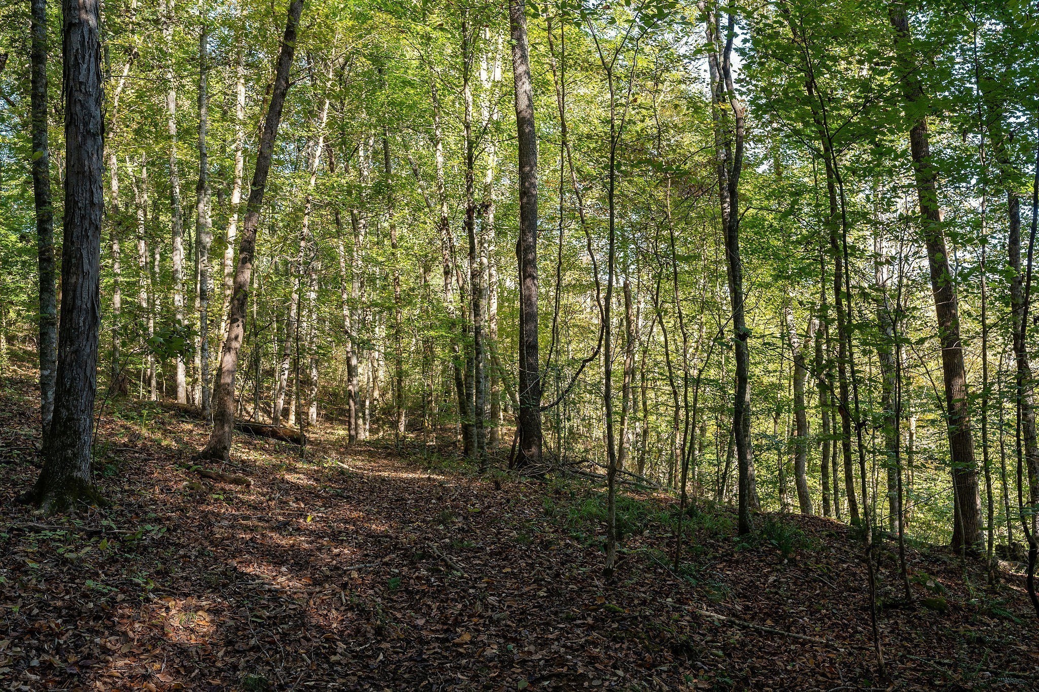 0 Goodbar Road Rock Island TN 38581