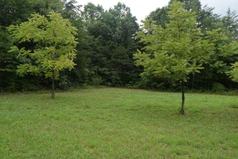 16226 Sr 50 Altamont TN 37301