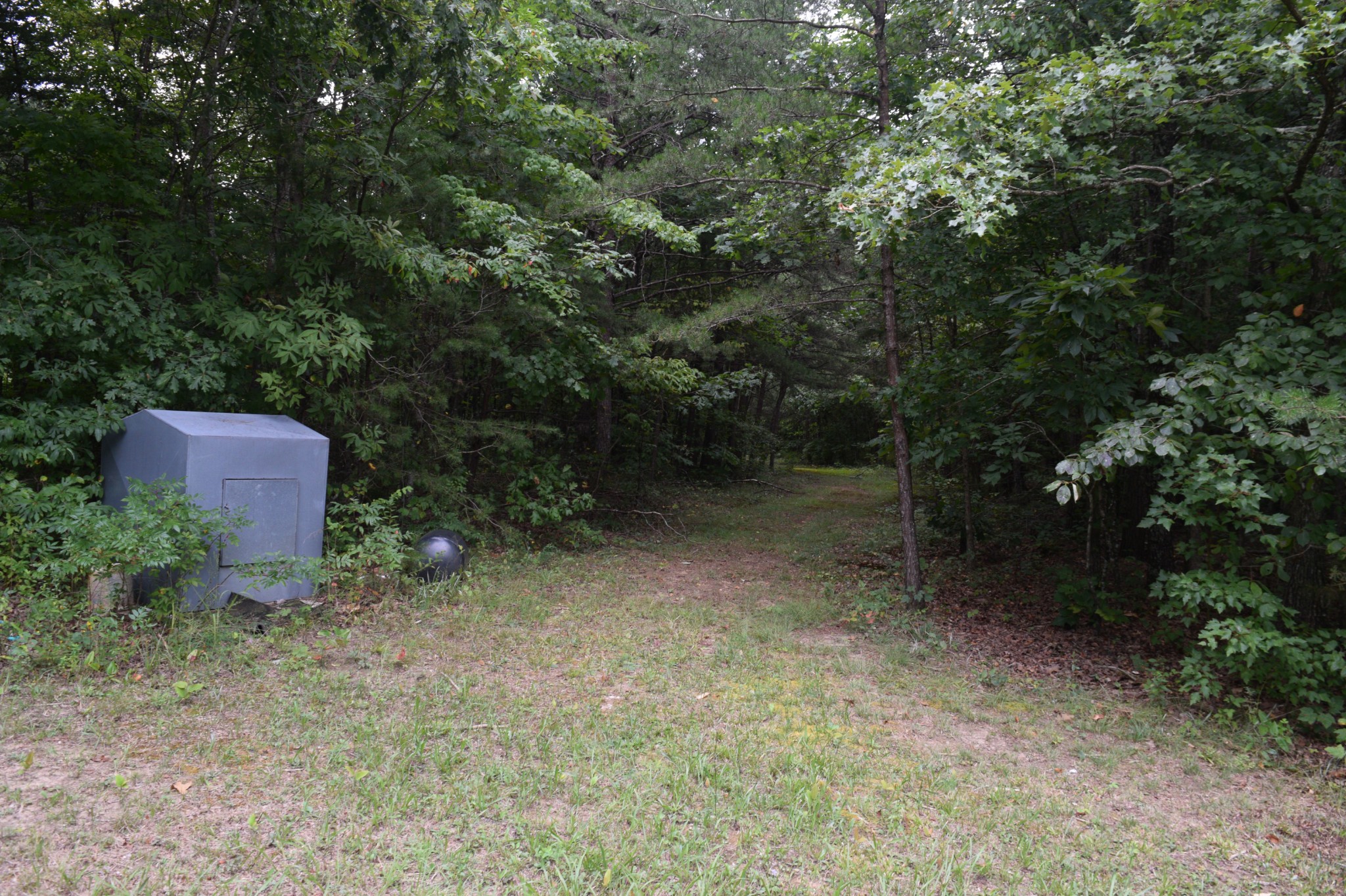 16226 Sr 50 Altamont TN 37301