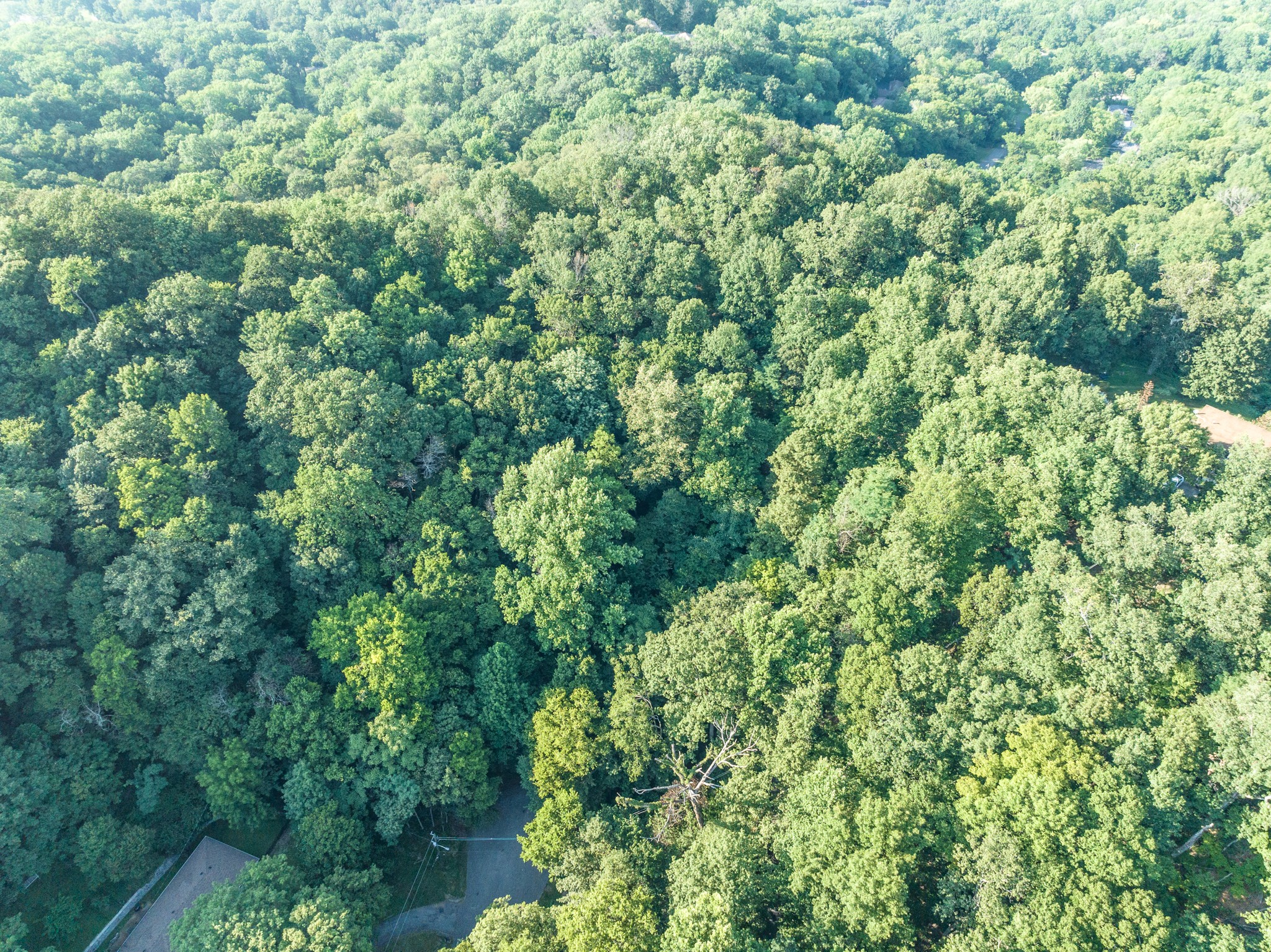 6518 Grayson Court Nashville TN 37205