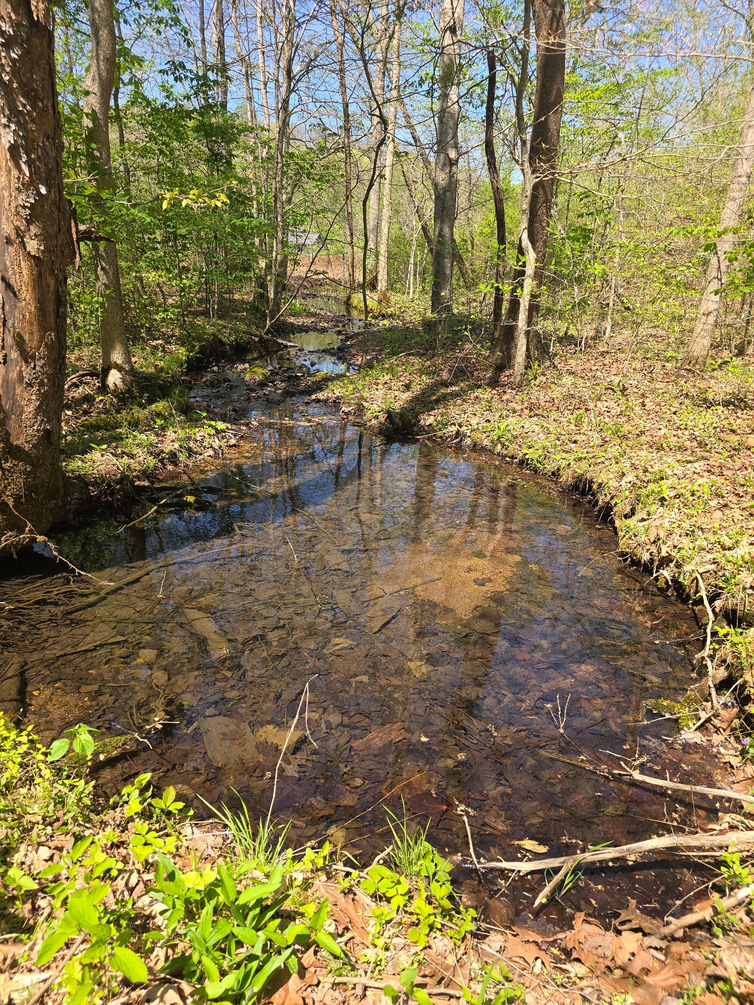 4149 Highway 49 Tennessee Ridge TN 37178