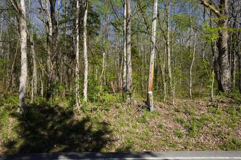 4149 Highway 49 Tennessee Ridge TN 37178