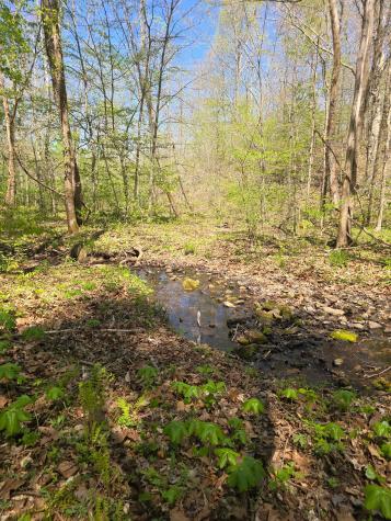 4149 Highway 49 Tennessee Ridge TN 37178