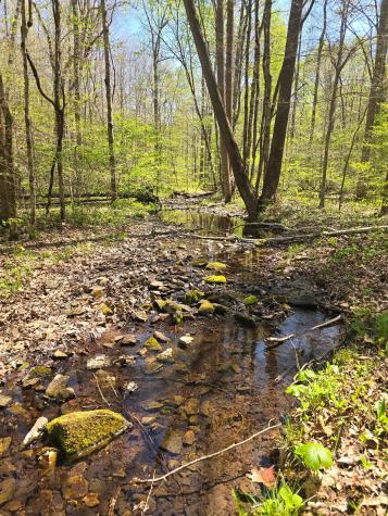 4149 Highway 49 Tennessee Ridge TN 37178
