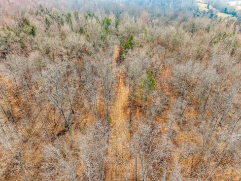 4149 Highway 49 Tennessee Ridge TN 37178