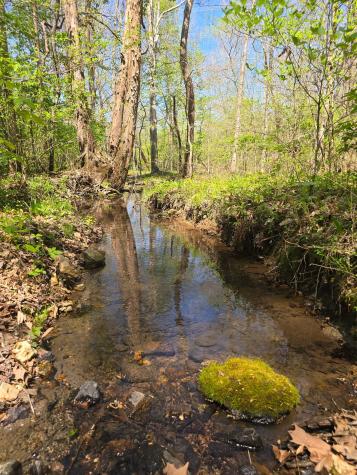 4149 Highway 49 Tennessee Ridge TN 37178