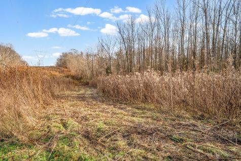 4149 Highway 49 Tennessee Ridge TN 37178