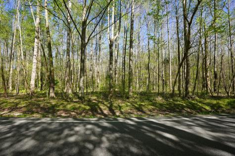 4149 Highway 49 Tennessee Ridge TN 37178