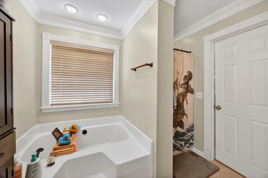 614 Bradford Trace Cookeville TN 38501