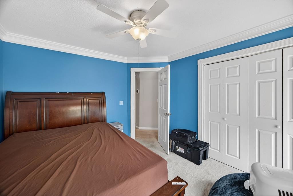 614 Bradford Trace Cookeville TN 38501