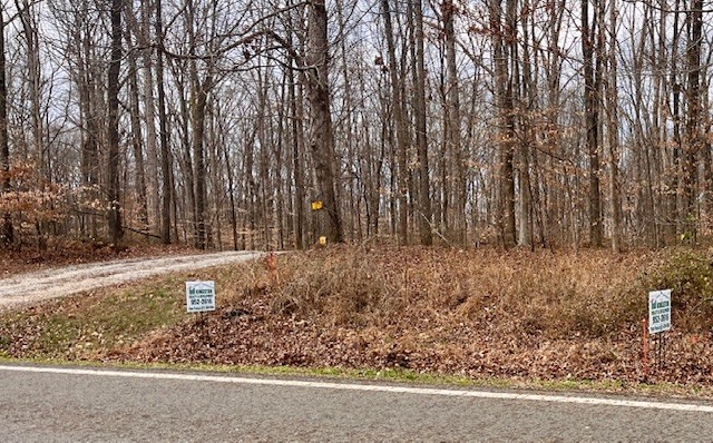 0 Mount Pleasant Road Kingston Springs TN 37082
