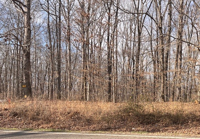 0 Mount Pleasant Road Kingston Springs TN 37082