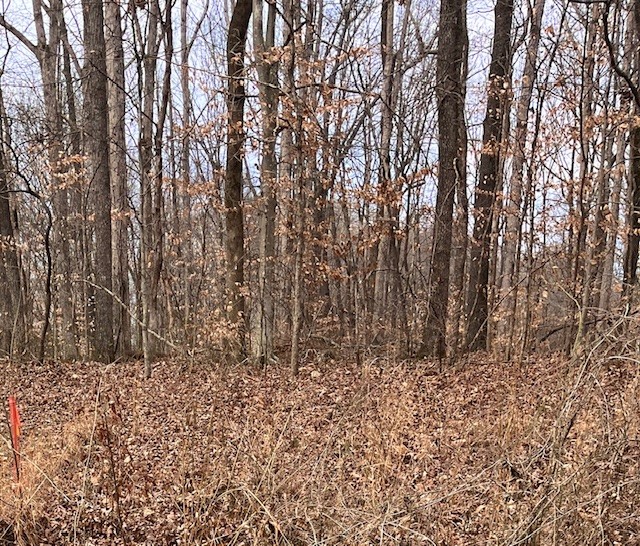 0 Mount Pleasant Road Kingston Springs TN 37082