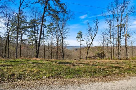 0 Crestwood Drive Waverly TN 37185