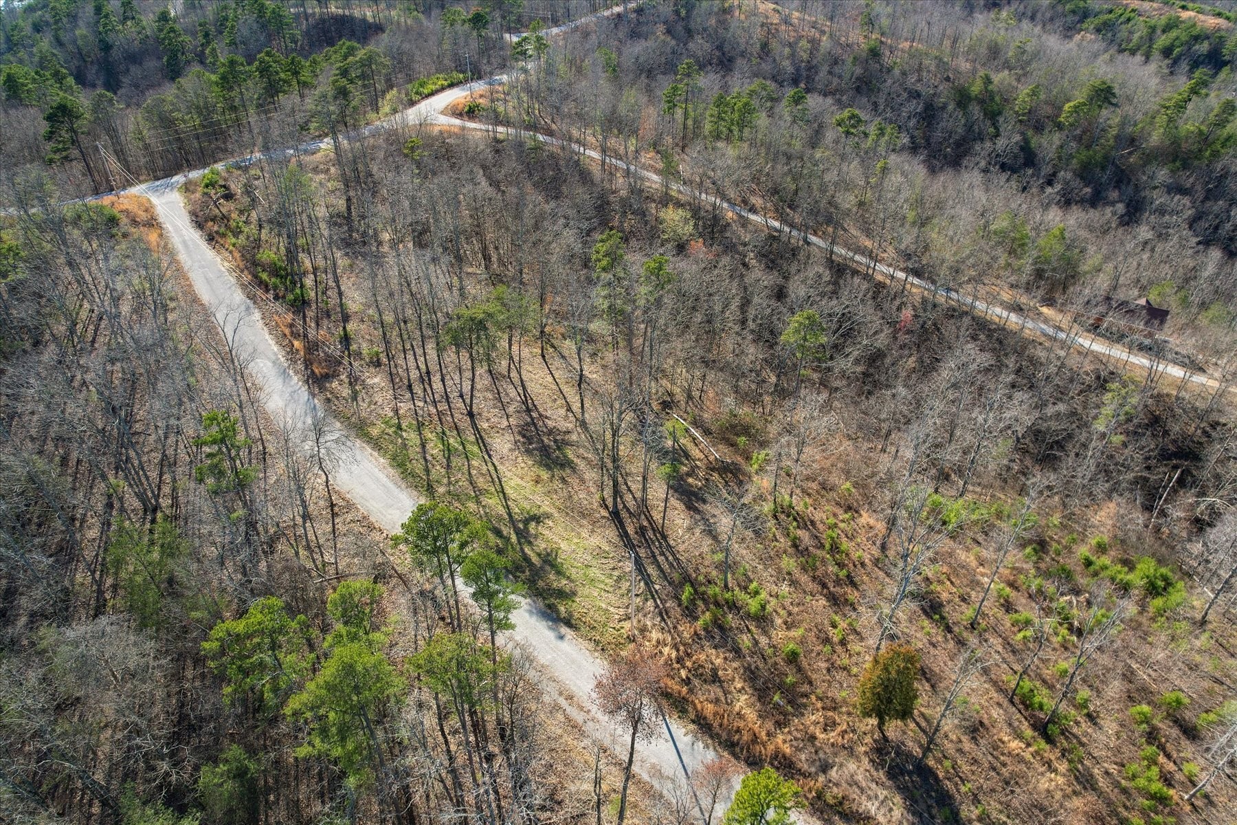 0 Crestwood Drive Waverly TN 37185