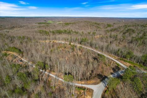 0 Crestwood Drive Waverly TN 37185