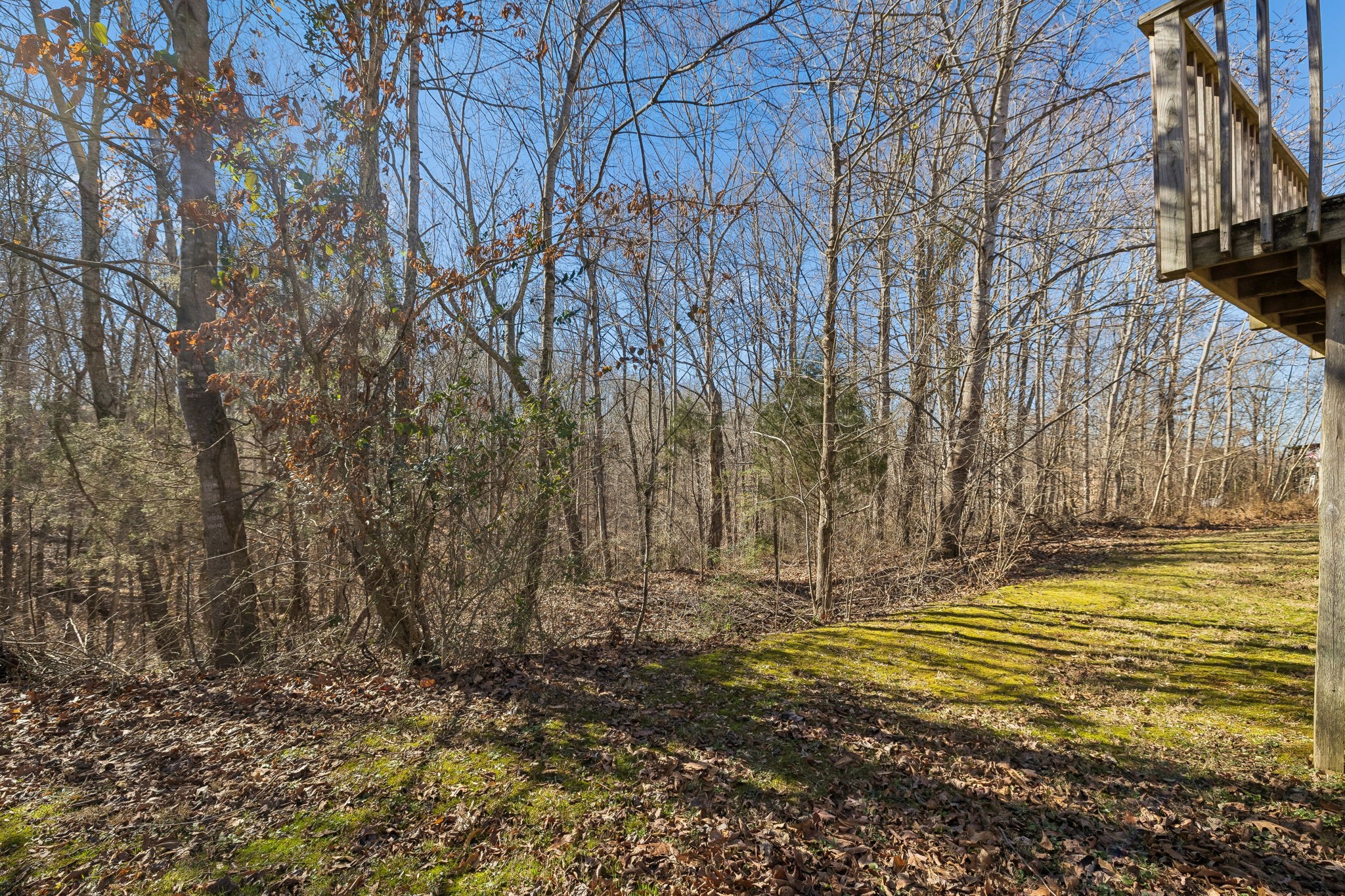 1053 Pack Road White Bluff TN 37187