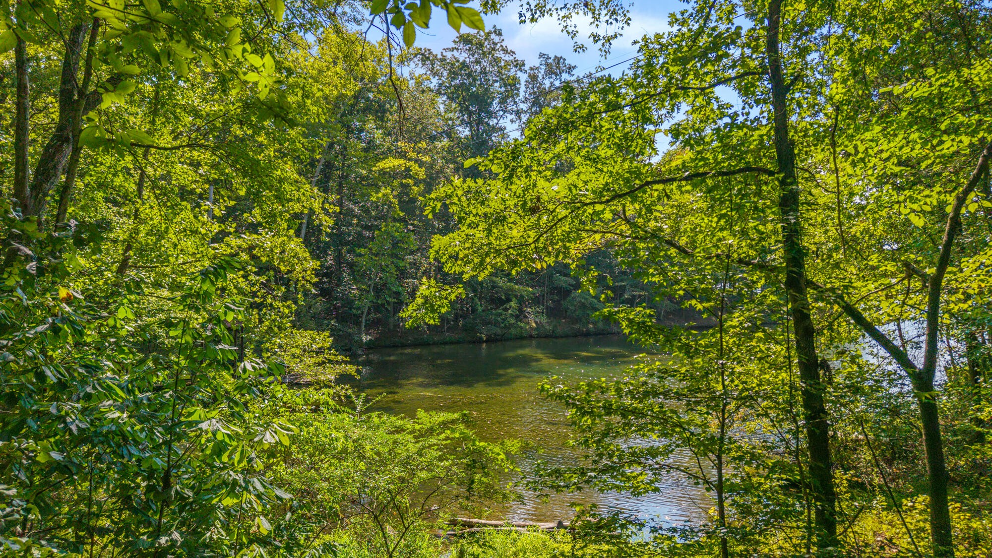 0 Eagle Point Drive Lot 8 Rockwood TN 37854