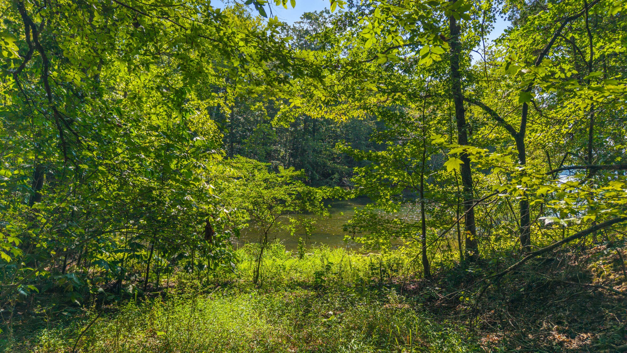 0 Eagle Point Drive Lot 8 Rockwood TN 37854