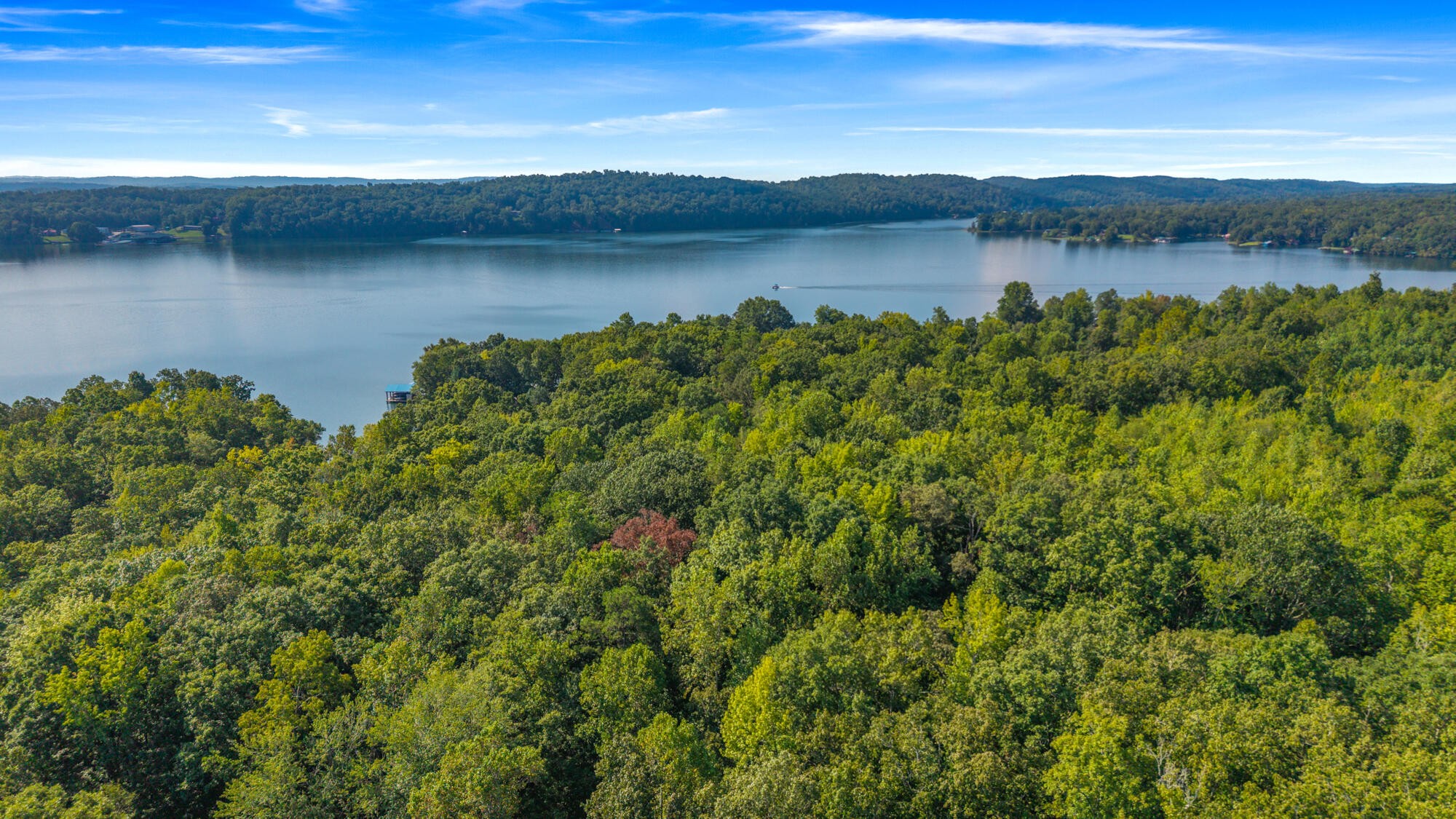 0 Eagle Point Drive Lot 8 Rockwood TN 37854