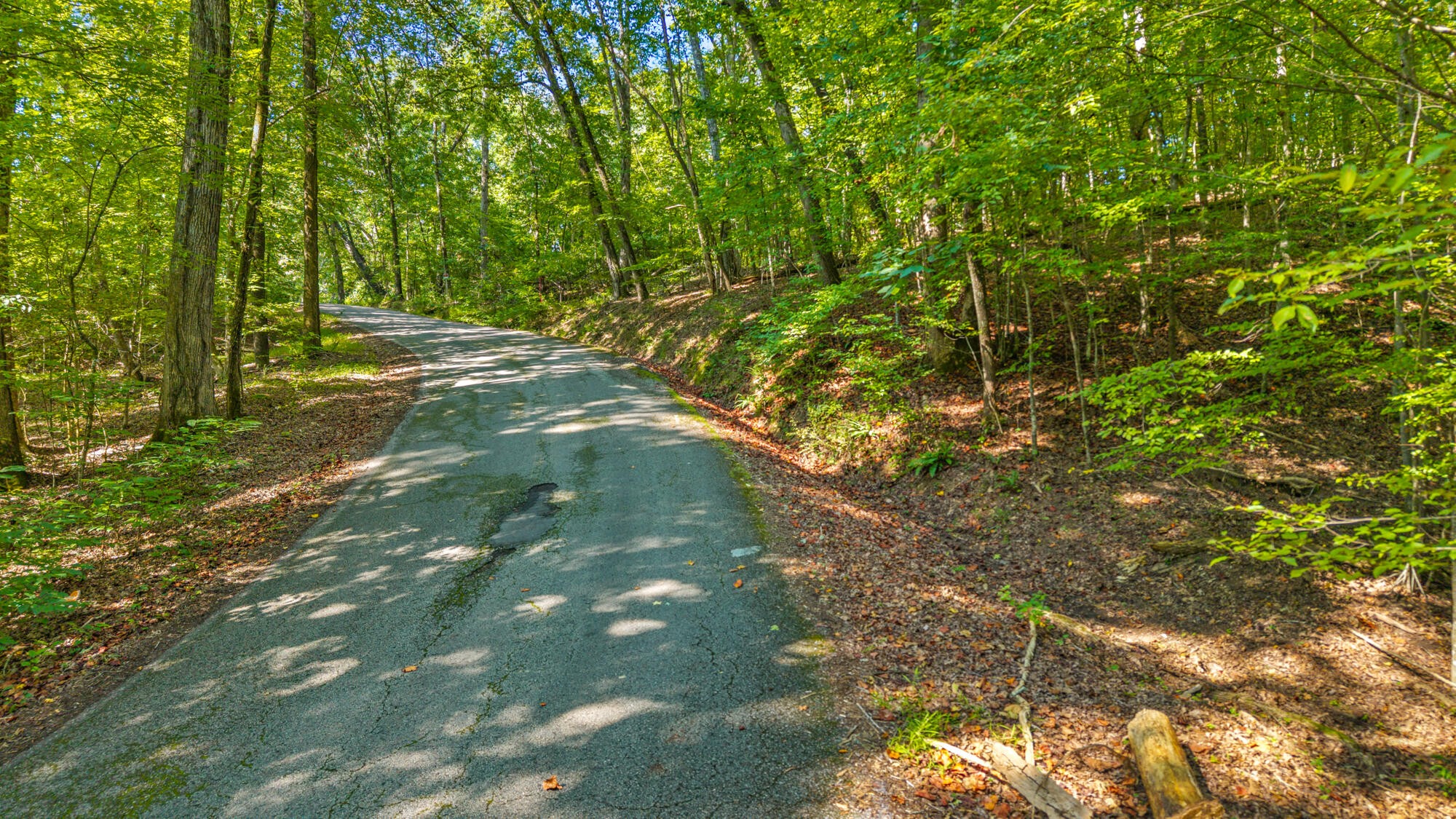 0 Eagle Point Drive Lot 8 Rockwood TN 37854