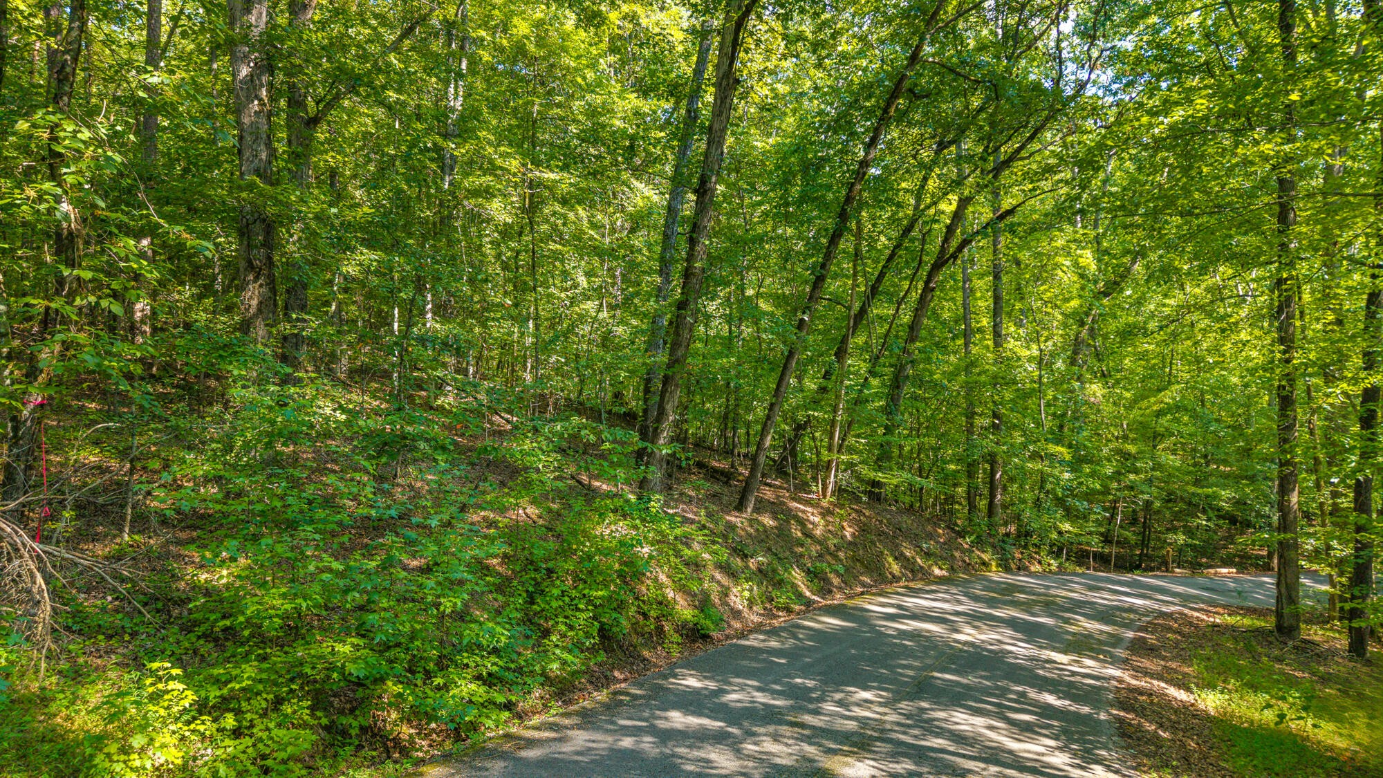 0 Eagle Point Drive Lot 8 Rockwood TN 37854