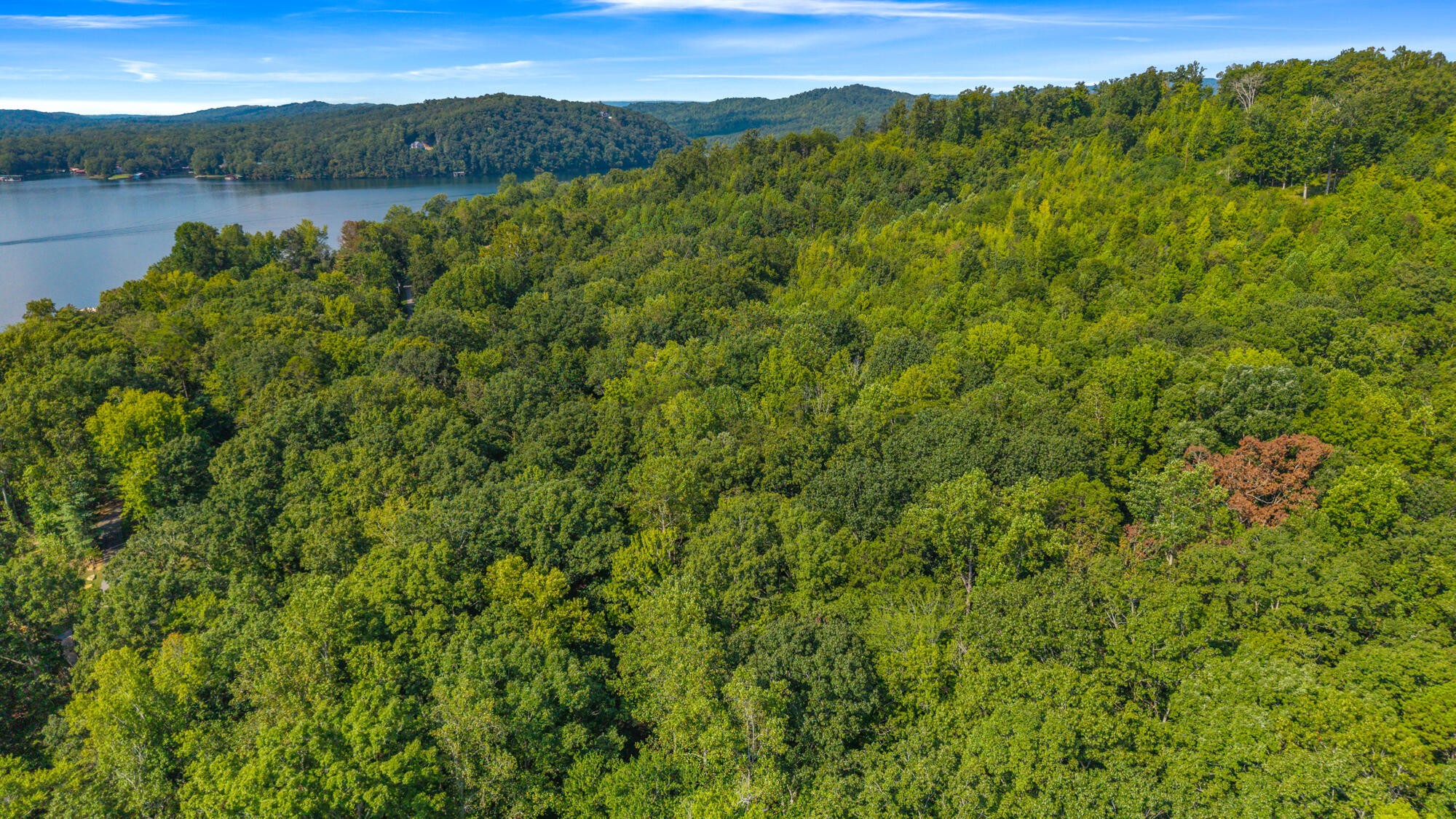 0 Eagle Point Drive Lot 8 Rockwood TN 37854