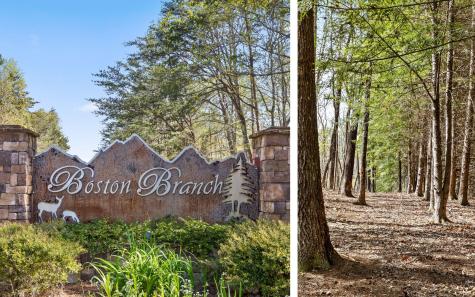 2593 Boston Branch Circle Signal Mountain TN 37377