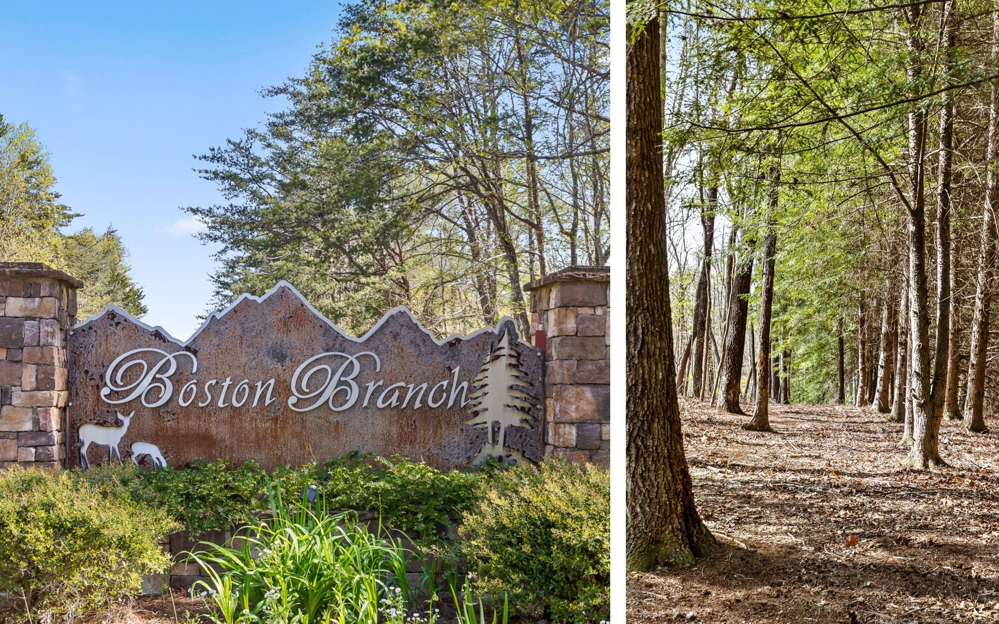 2593 Boston Branch Circle Signal Mountain TN 37377