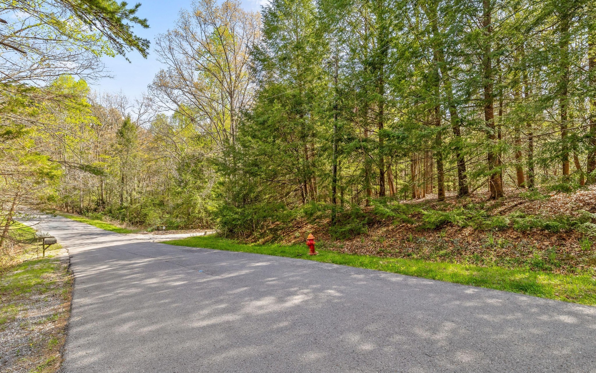 2593 Boston Branch Circle Signal Mountain TN 37377