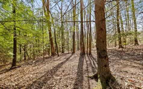 2593 Boston Branch Circle Signal Mountain TN 37377