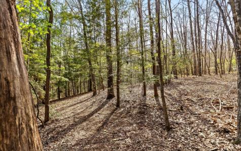 2593 Boston Branch Circle Signal Mountain TN 37377