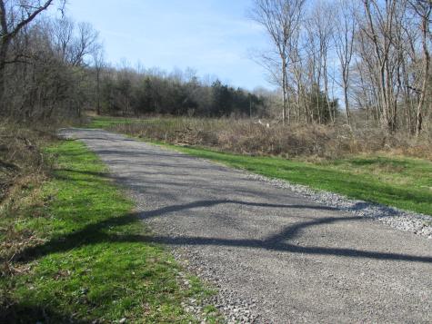 0 Patton Hollow Road Watertown TN 37184