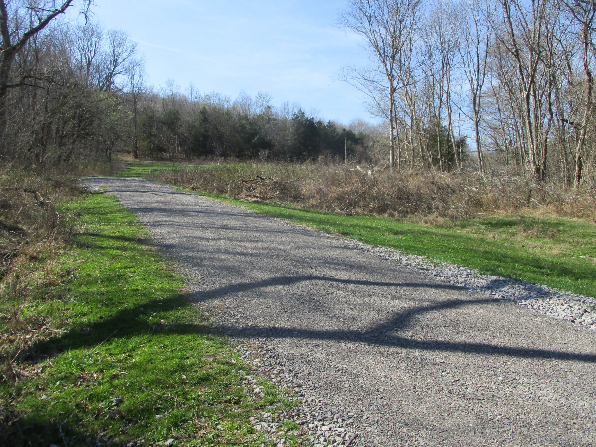 0 Patton Hollow Road Watertown TN 37184