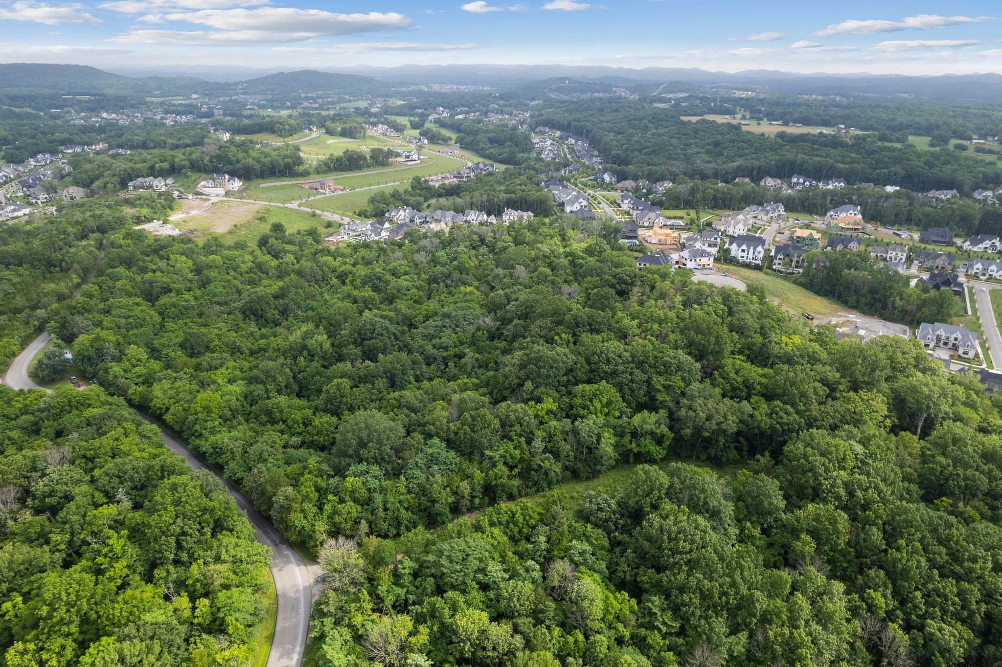 6417 Locust Ridge Road College Grove TN 37046