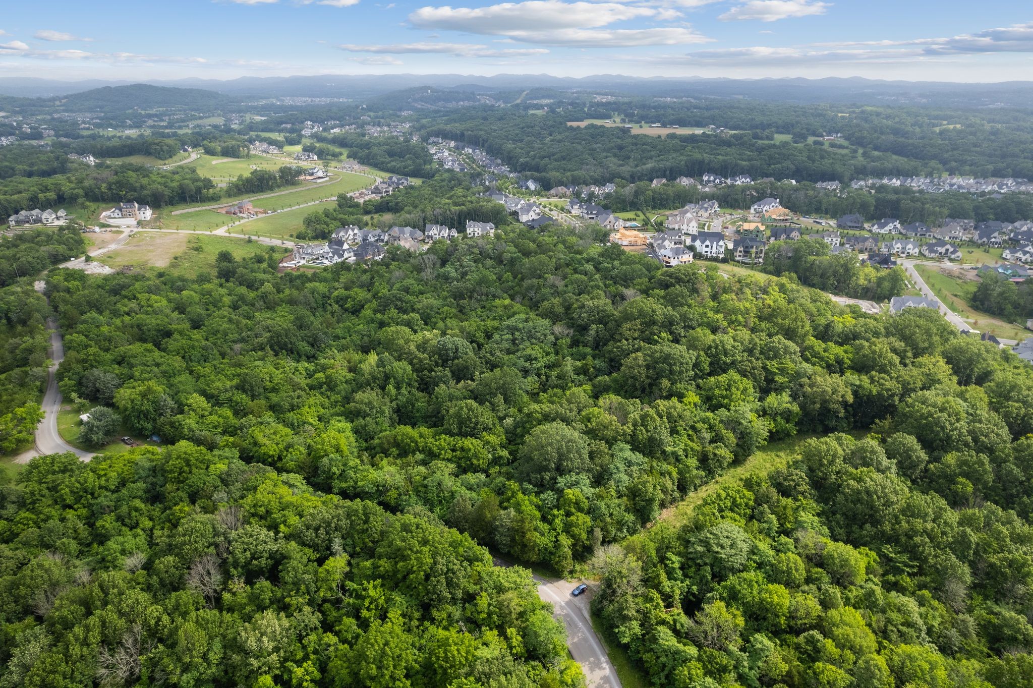 6417 Locust Ridge Road College Grove TN 37046