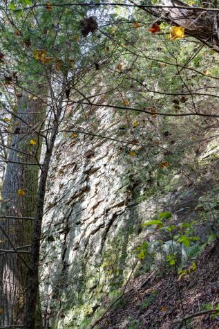 0 Woodly Branch Road Monteagle TN 37356