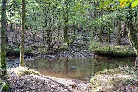 0 Woodly Branch Road Monteagle TN 37356