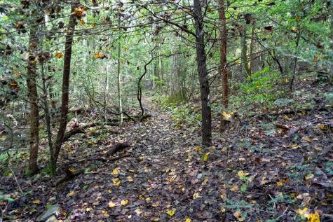 0 Woodly Branch Road Monteagle TN 37356