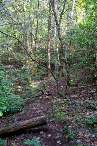 0 Woodly Branch Road Monteagle TN 37356