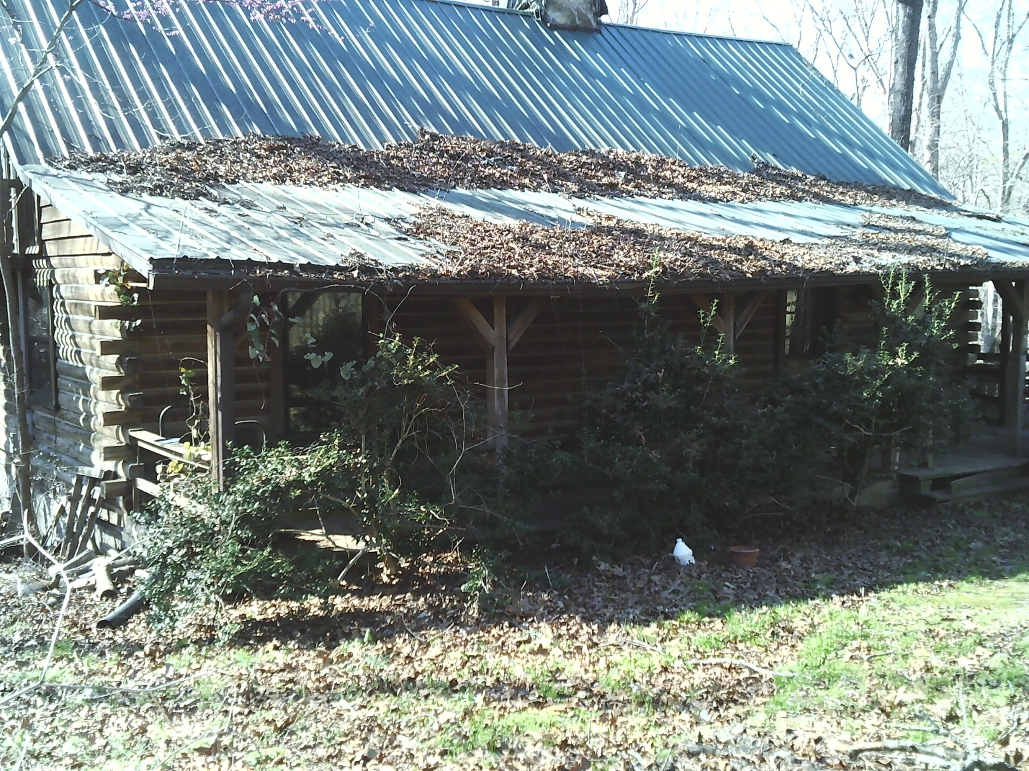 174 Sugar Maple Drive Dover TN 37058