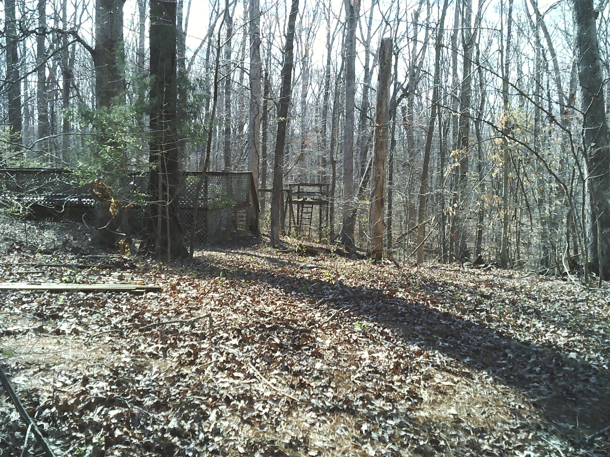 174 Sugar Maple Drive Dover TN 37058