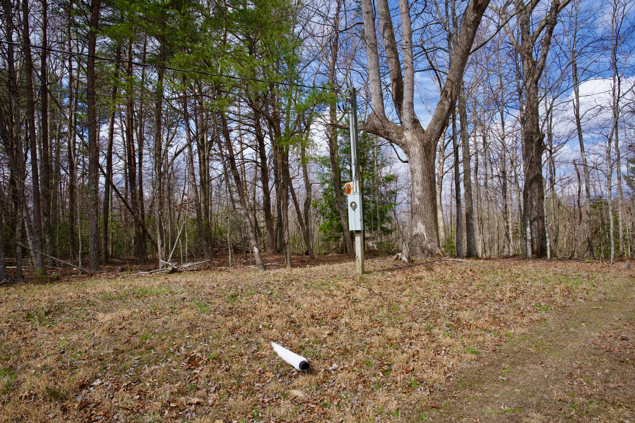 0 Daus Mountain Road Palmer TN 37365